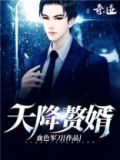 天降赘婿