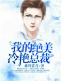 我的绝美冷艳总裁