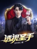 透视圣手全本免费下载