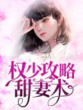 权少攻略甜妻术