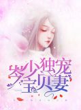 岑少独宠宝贝妻