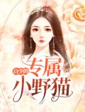 白少的专属小野猫
