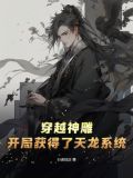 穿越神雕！开局获得了天龙系统