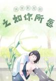 综影视之如你所愿