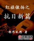 红旗傲扬之抗日新篇
