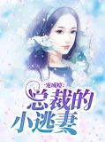 一宠成瘾：总裁的小逃妻