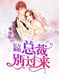 亿万新娘：总裁别过来