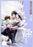 我的足球先生