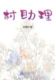 村助理