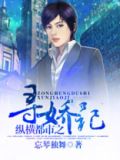 纵横都市之寻娇记