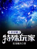 王者荣耀之特殊玩家
