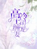 高冷上司缠宠妻