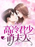 高冷君少俏夫人