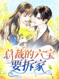 总裁的六宝要拆家