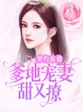 契约新婚：爹地宠妻甜又撩