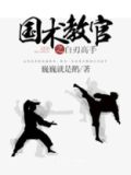 国术教官之白刃高手 小说