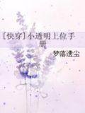 [快穿]小透明上位手册