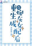 满级仙尊重生成炮灰女配后