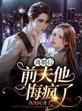 离婚后，前夫他悔疯了