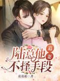 小说陆总追妻路漫漫免费阅读
