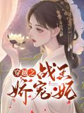穿越之战王娇宠妃