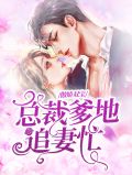 傲娇双宝：总裁爹地追妻忙