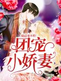 团宠小娇妻，陆总宠不停