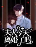 夫人今天离婚了吗？