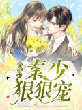 替嫁后秦少狠狠宠