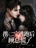 携二宝逃跑后顾总慌了