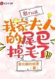 别rua，我家夫人的尾巴掉毛了