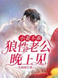 小妻不乖：狼性老公晚上见