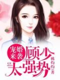 宠婚来袭：顾少，太强势！