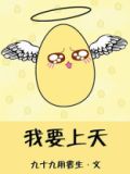 我要上天