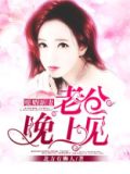 暖婚新妻，老公晚上见