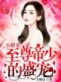 至尊帝少的盛宠