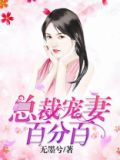 总裁宠妻百分百