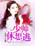 少帅休想逃电视剧