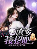 三宝奶又凶:渣爹,接招吧!