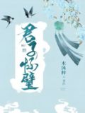 君子怀璧