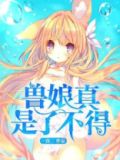 兽娘级别