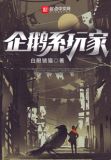 企鹅系玩家