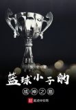 篮球小子的成神之路