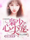 名门军婚，枭少暖宠特工妻
