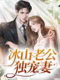 冰山老公独宠妻