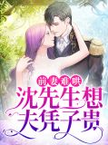 前妻难哄，沈先生想夫凭子贵