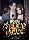 三宝来袭,冷漠爹地请投降