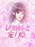 试婚娇妻宠上瘾