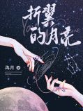 折翼的月亮