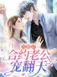 闪婚后合约老公宠翻天